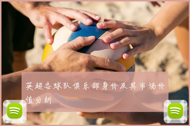 英超各球队俱乐部身价及其市场价值分析