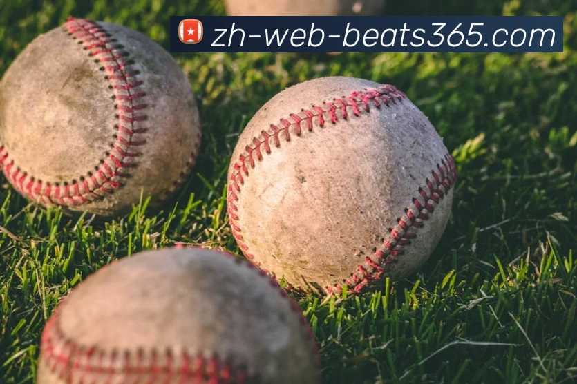 beats365平台生态图